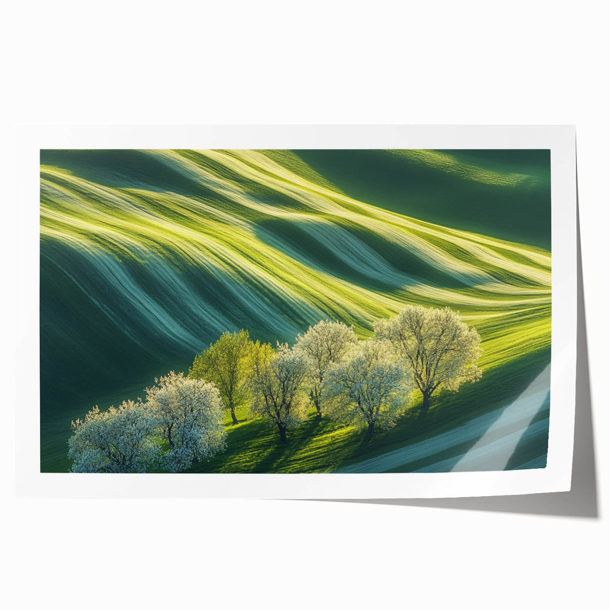Rolling Green Hills & Blossoming Trees – Nature Art Prints