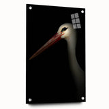 Stork in Shadows - Fine Art Photography Framed Prints