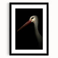 Stork in Shadows - Fine Art Photography Framed Prints