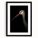 Stork in Shadows - Fine Art Photography Framed Prints