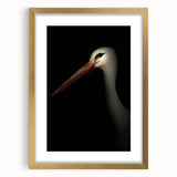 Stork in Shadows - Fine Art Photography Framed Prints