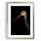 Stork in Shadows - Fine Art Photography Framed Prints