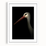 Stork in Shadows - Fine Art Photography Framed Prints