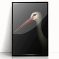 Stork in Shadows - Fine Art Photography Framed Prints