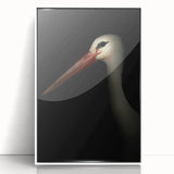 Stork in Shadows - Fine Art Photography Framed Prints