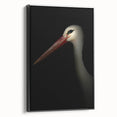 Stork in Shadows - Fine Art Photography Framed Prints