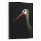 Stork in Shadows - Fine Art Photography Framed Prints