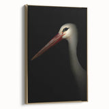 Stork in Shadows - Fine Art Photography Framed Prints