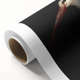 Stork in Shadows - Fine Art Photography Framed Prints