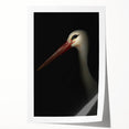 Stork in Shadows - Fine Art Photography Framed Prints