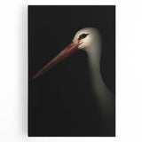 Stork in Shadows - Fine Art Photography Framed Prints