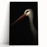 Stork in Shadows - Fine Art Photography Framed Prints