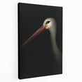 Stork in Shadows - Fine Art Photography Framed Prints