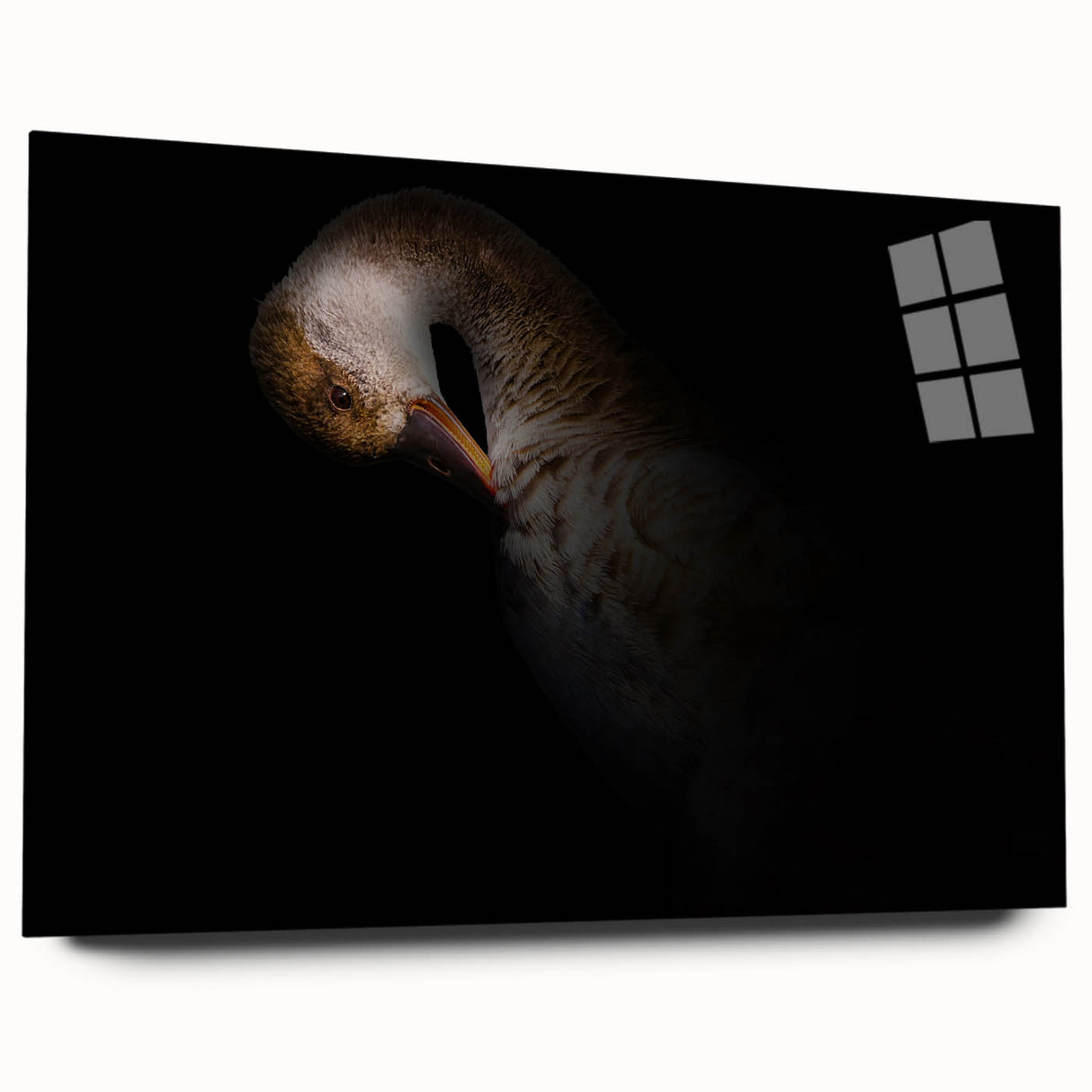Minimalist Goose Portrait - Fine Art Photography Wall Decor
