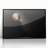 Minimalist Goose Portrait - Fine Art Photography Wall Decor