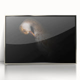 Minimalist Goose Portrait - Fine Art Photography Wall Decor