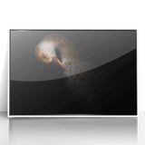 Minimalist Goose Portrait - Fine Art Photography Wall Decor