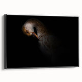 Minimalist Goose Portrait - Fine Art Photography Wall Decor