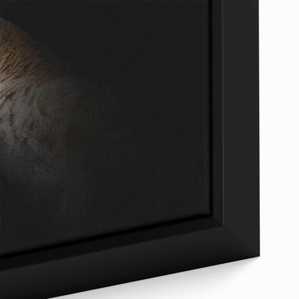 Minimalist Goose Portrait - Fine Art Photography Wall Decor