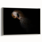 Minimalist Goose Portrait - Fine Art Photography Wall Decor