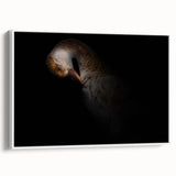 Minimalist Goose Portrait - Fine Art Photography Wall Decor