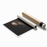 Minimalist Goose Portrait - Fine Art Photography Wall Decor