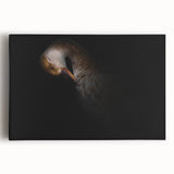 Minimalist Goose Portrait - Fine Art Photography Wall Decor