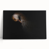 Minimalist Goose Portrait - Fine Art Photography Wall Decor