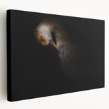 Minimalist Goose Portrait - Fine Art Photography Wall Decor