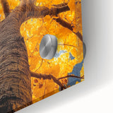 Golden Canopy – Tree Art Prints & Nature-Inspired Wall Decor