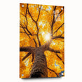 Golden Canopy – Tree Art Prints & Nature-Inspired Wall Decor