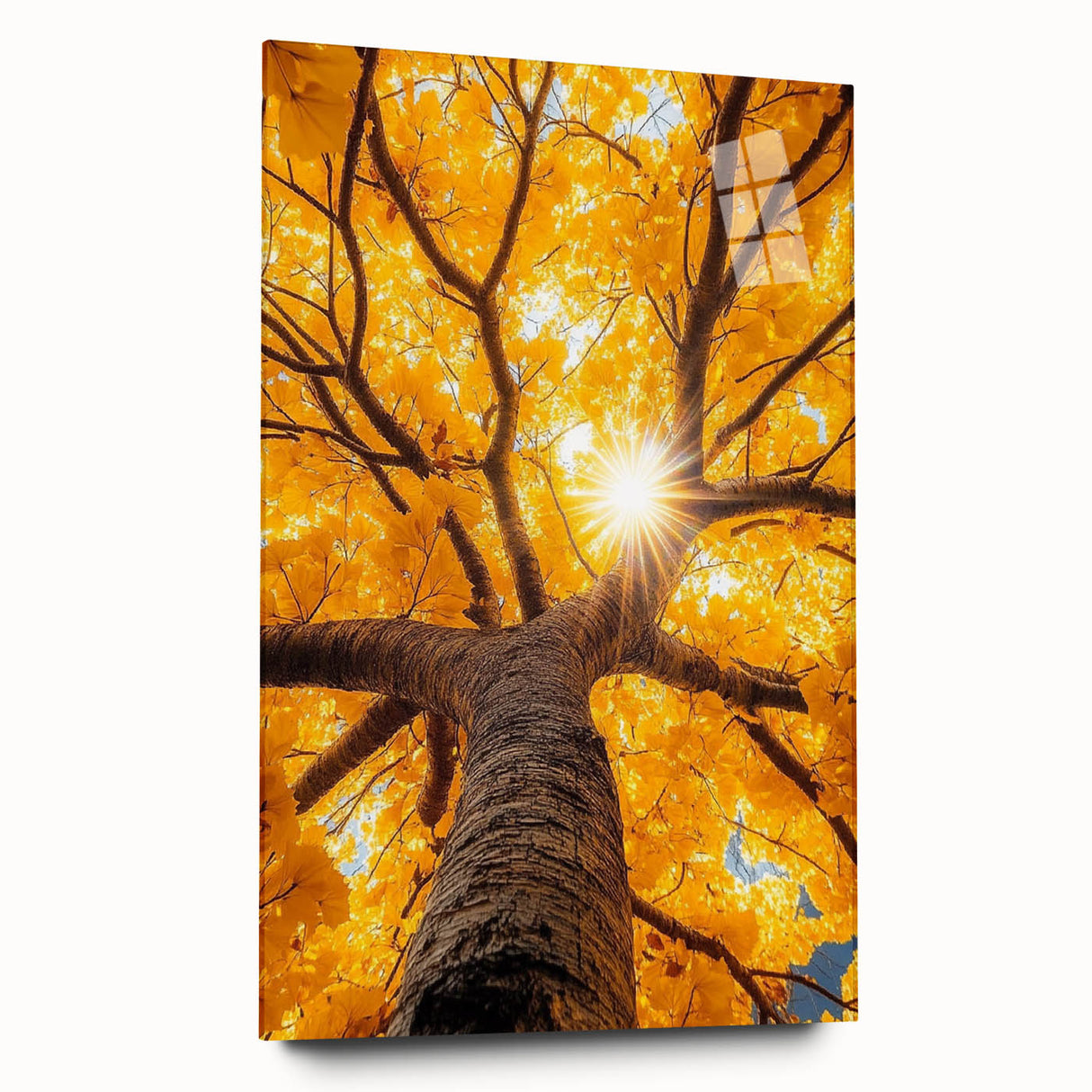 Golden Canopy – Tree Art Prints & Nature-Inspired Wall Decor