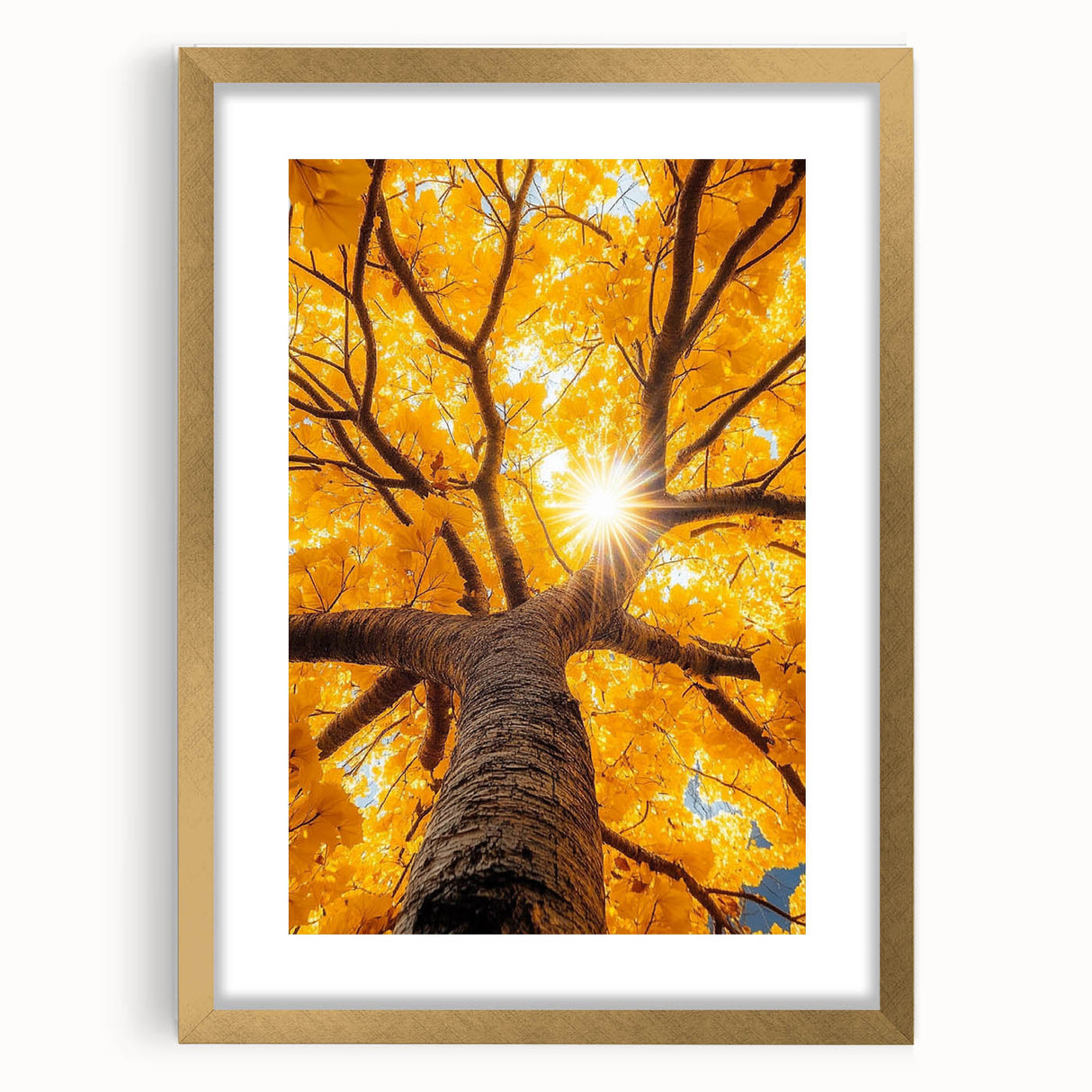 Golden Canopy – Tree Art Prints & Nature-Inspired Wall Decor