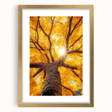 Golden Canopy – Tree Art Prints & Nature-Inspired Wall Decor