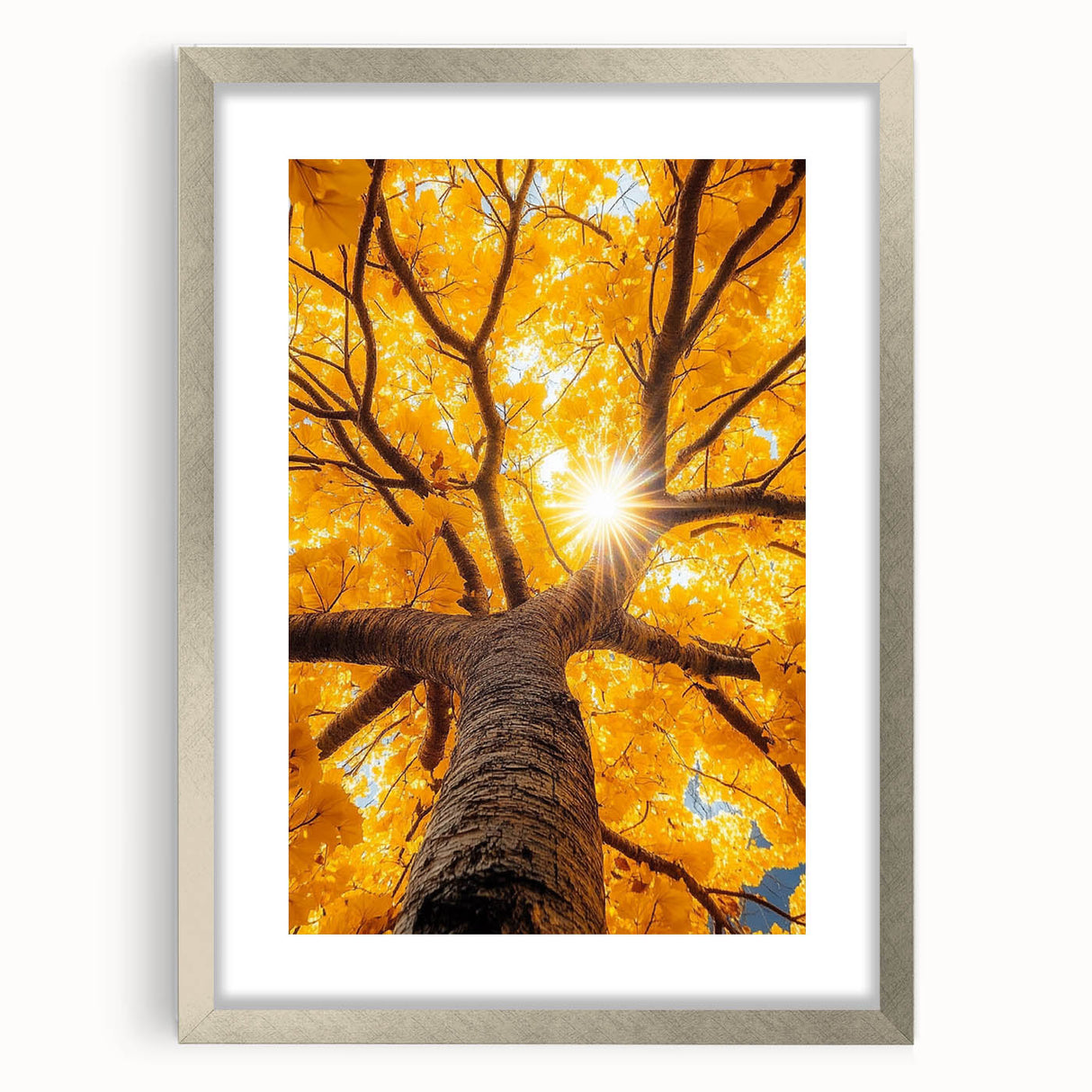 Golden Canopy – Tree Art Prints & Nature-Inspired Wall Decor