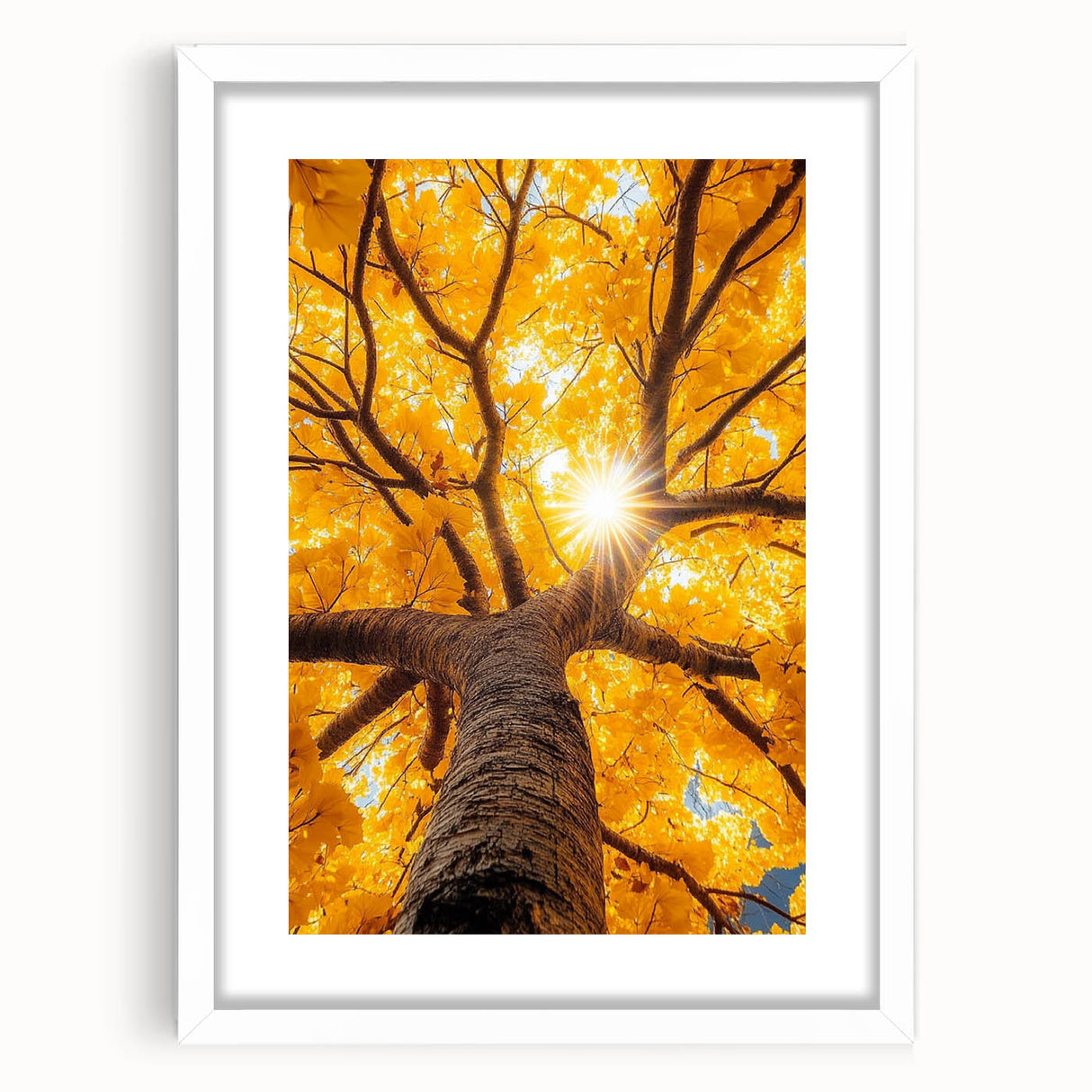 Golden Canopy – Tree Art Prints & Nature-Inspired Wall Decor