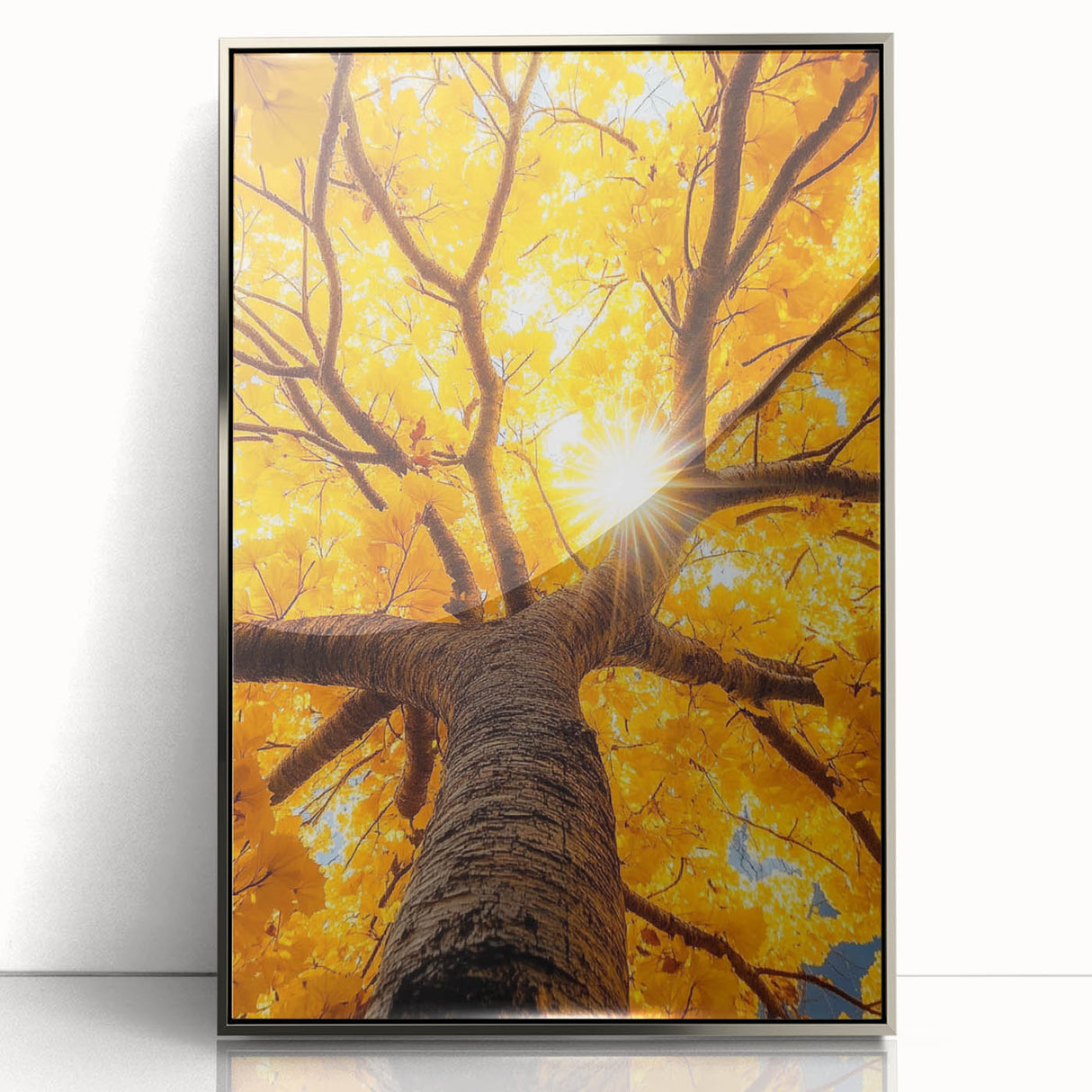 Golden Canopy – Tree Art Prints & Nature-Inspired Wall Decor