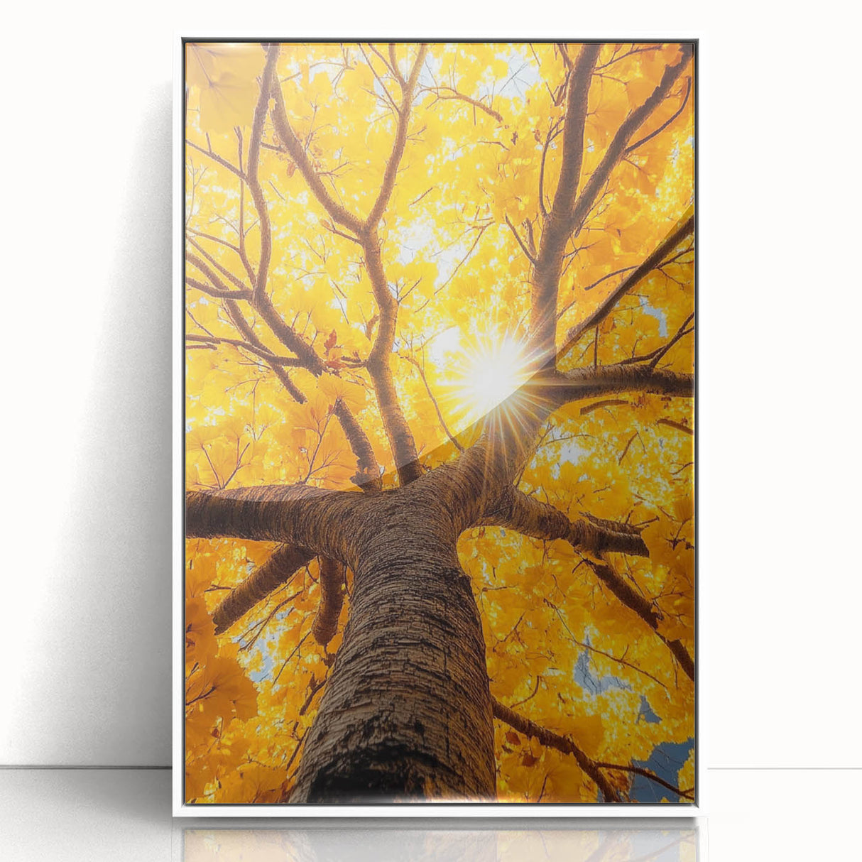 Golden Canopy – Tree Art Prints & Nature-Inspired Wall Decor