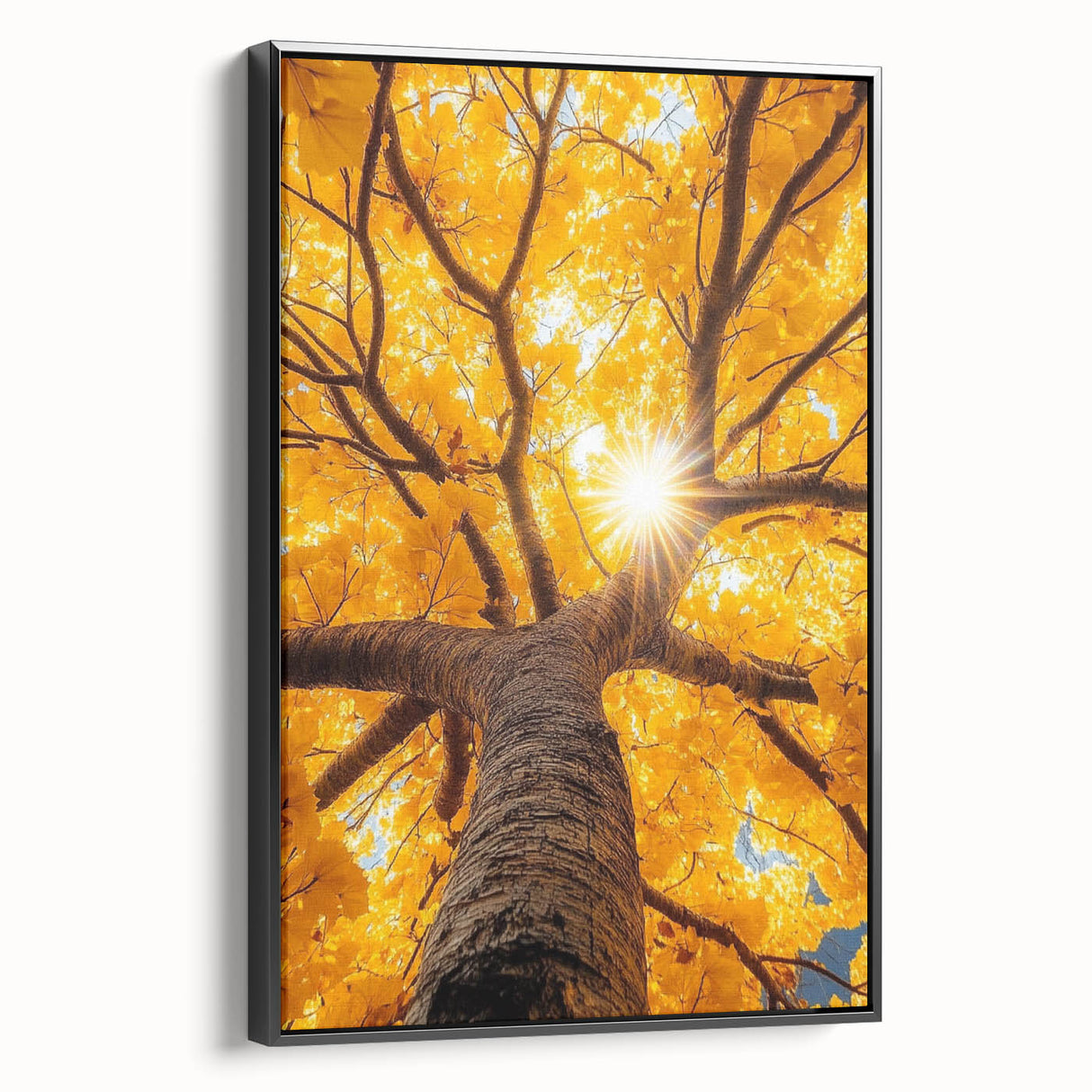 Golden Canopy – Tree Art Prints & Nature-Inspired Wall Decor