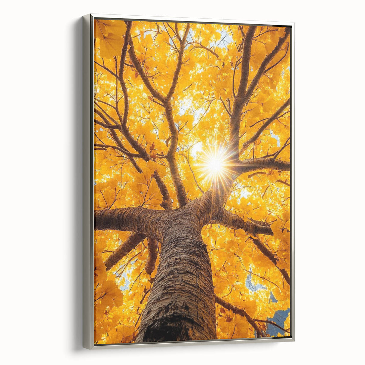 Golden Canopy – Tree Art Prints & Nature-Inspired Wall Decor