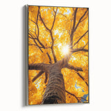 Golden Canopy – Tree Art Prints & Nature-Inspired Wall Decor