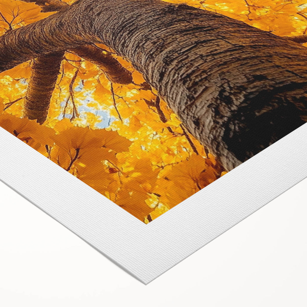 Golden Canopy – Tree Art Prints & Nature-Inspired Wall Decor