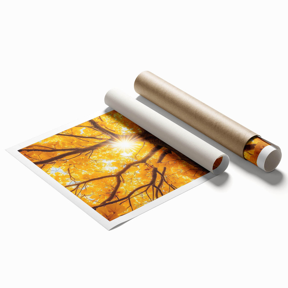 Golden Canopy – Tree Art Prints & Nature-Inspired Wall Decor