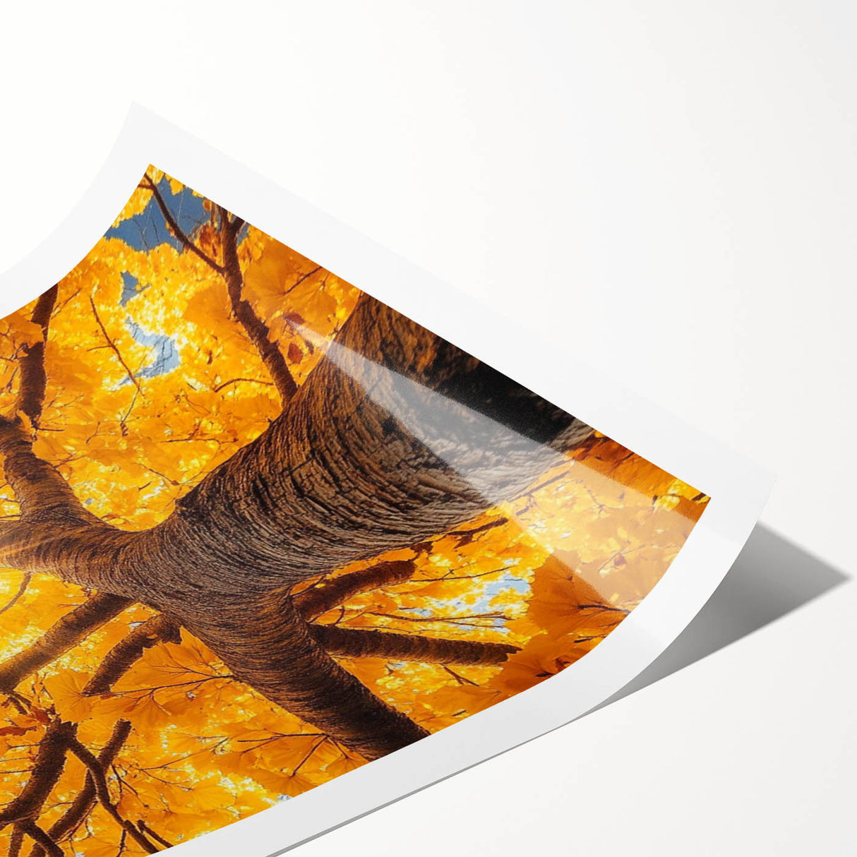 Golden Canopy – Tree Art Prints & Nature-Inspired Wall Decor