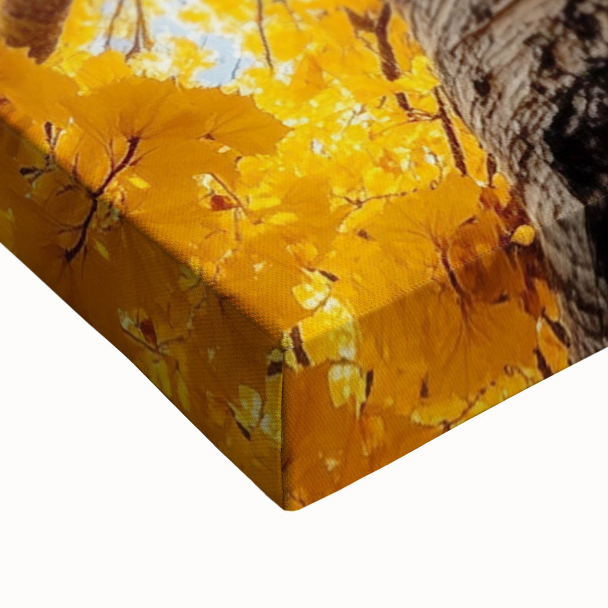 Golden Canopy – Tree Art Prints & Nature-Inspired Wall Decor