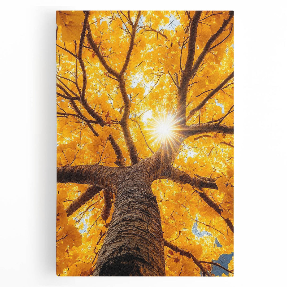 Golden Canopy – Tree Art Prints & Nature-Inspired Wall Decor