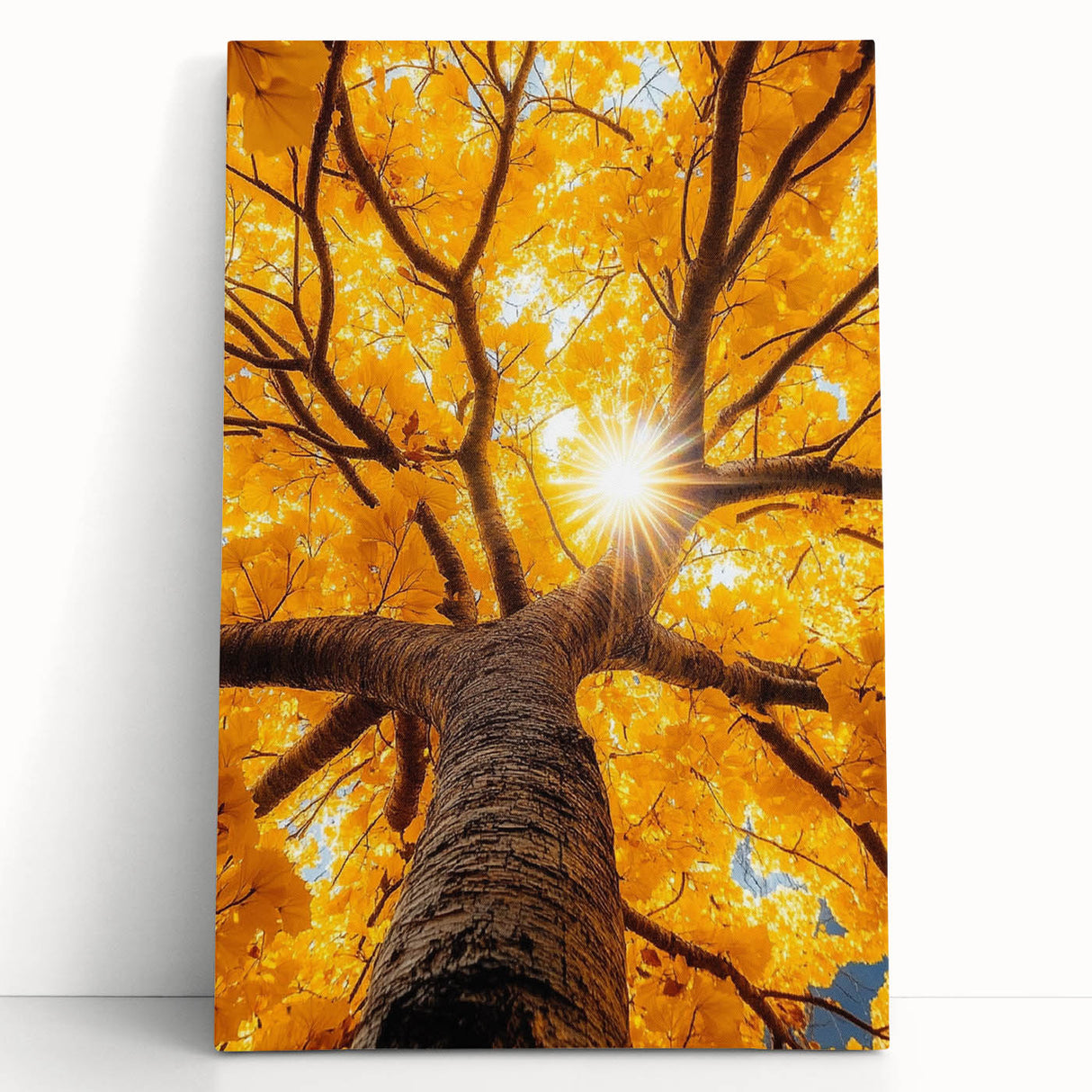 Golden Canopy – Tree Art Prints & Nature-Inspired Wall Decor