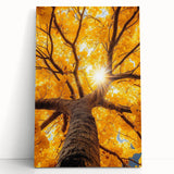 Golden Canopy – Tree Art Prints & Nature-Inspired Wall Decor