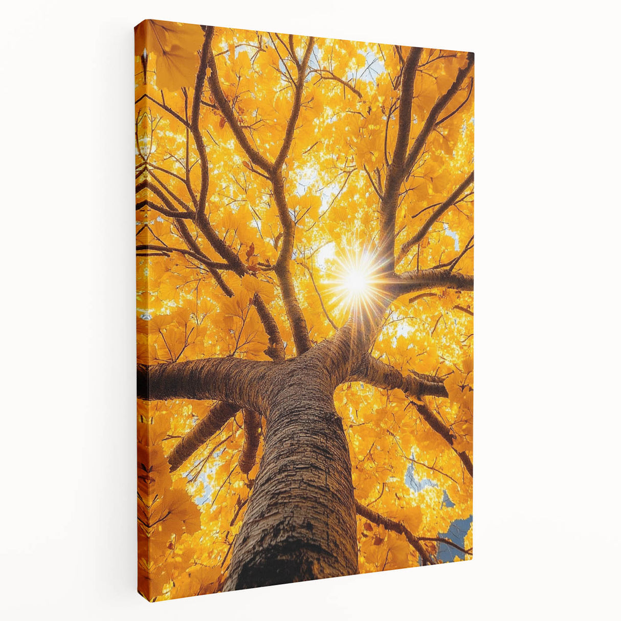 Golden Canopy – Tree Art Prints & Nature-Inspired Wall Decor