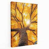 Golden Canopy – Tree Art Prints & Nature-Inspired Wall Decor